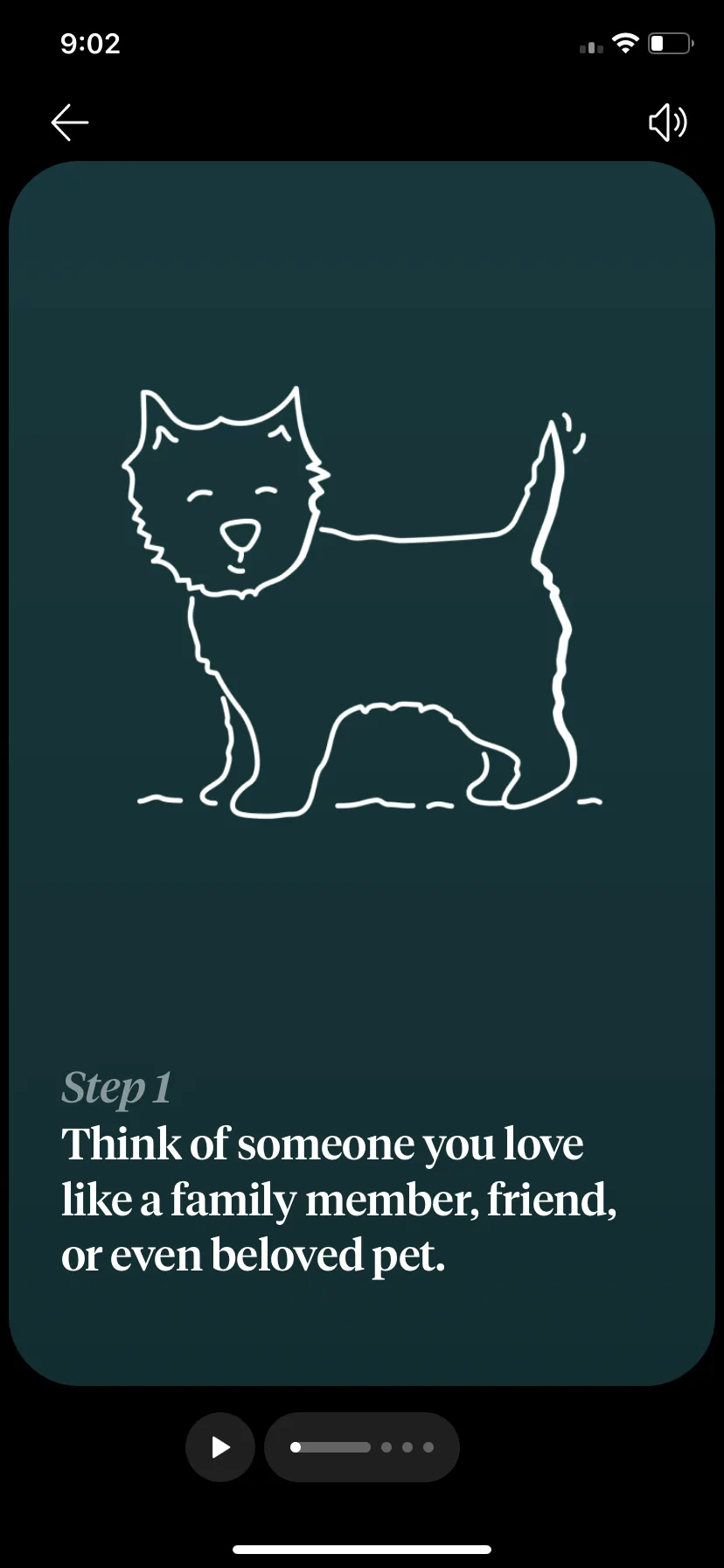 Test Image 23